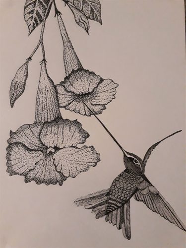 Carrie-Anne, Hummingbird.